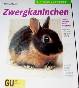 Zwergkaninchen