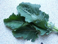 Kohlrabibl�tter