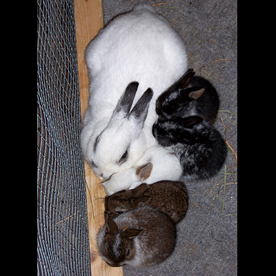 Kuscheln mit der Familie