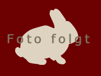 Foto folgt