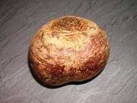 Rote Bete