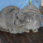 Hermann und Ida