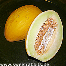 Honigmelone