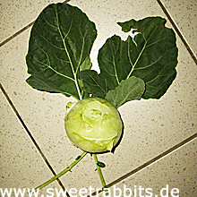 Kohlrabi